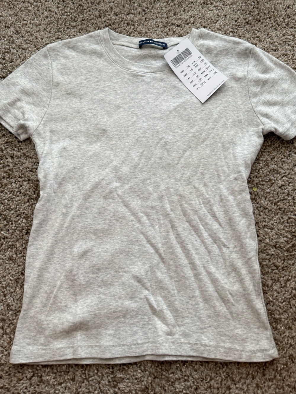nwt brandy melville tee